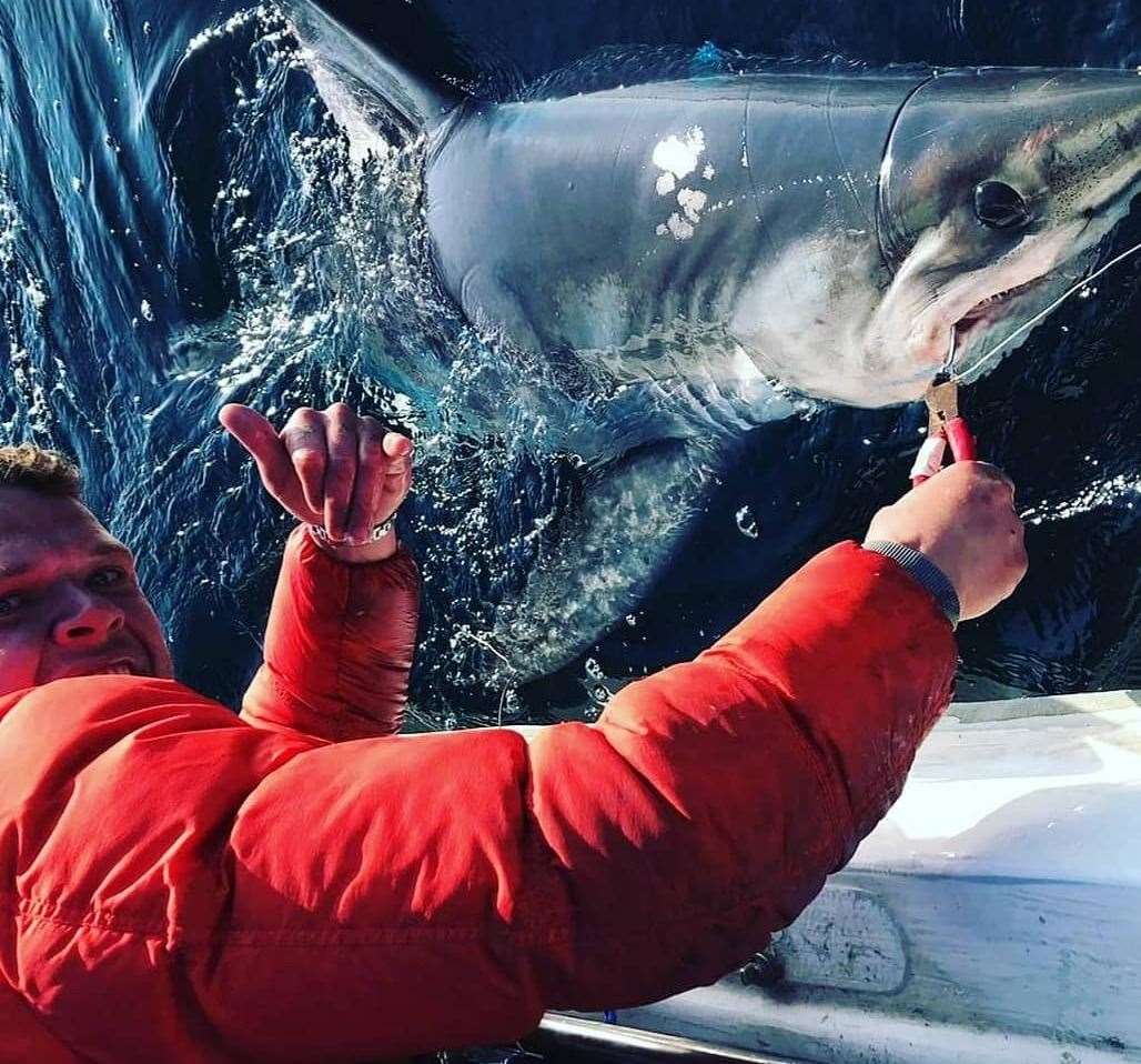Mr Finch caught the shark on his own boat. Picture: Kevin Finch / Angling and Anxiety