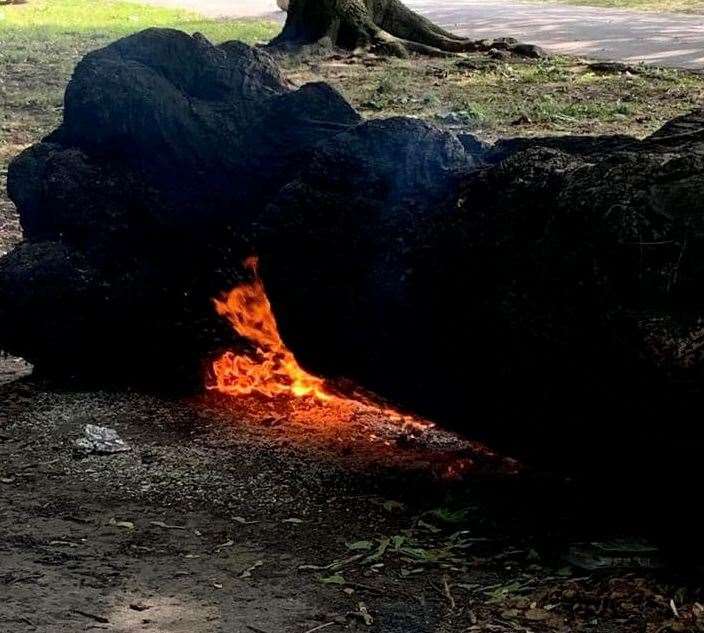 A bench was destroyed by flames at Faversham Recreation Ground. Picture: Melinda Urszuly