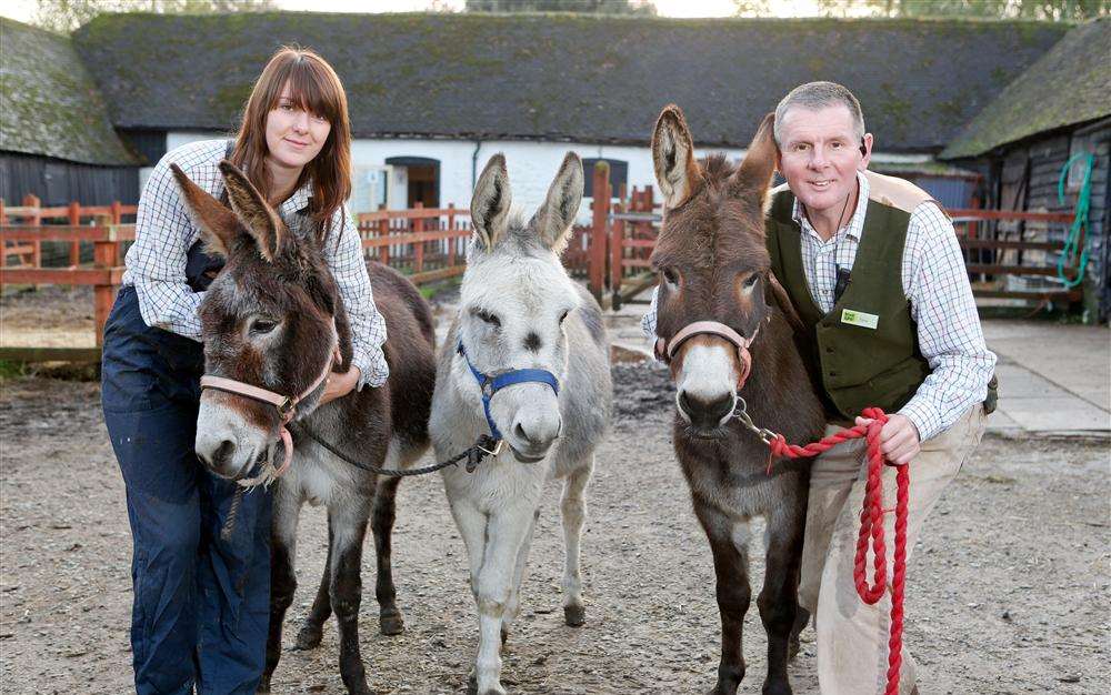 Kent Life's Lucy Buckingham and Tony Read with rescue donkeys Dora, George and Ellie.