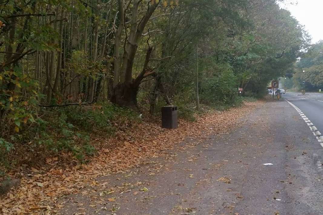 The woodland in Maidstone Road where Dean's body was discovered