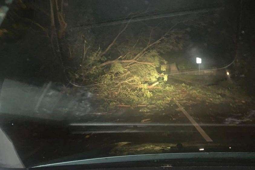 A tree blocking one side of the A251 between Ashford and Faversham this morning