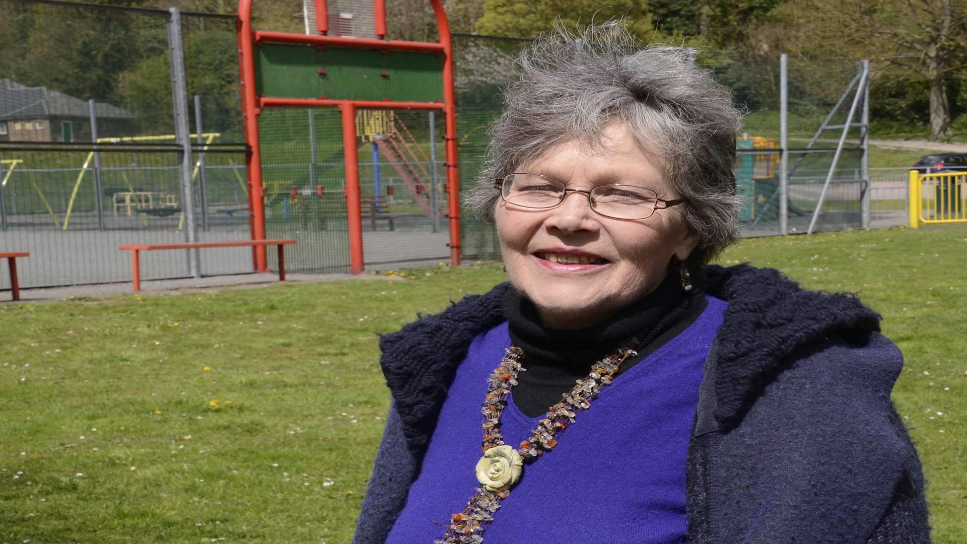 Geraldine Aldridge would like a skate park to be built near Elms Vale recreation ground