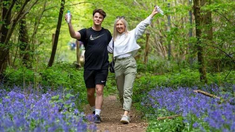 The Heart of Hospice Bluebell Walk attracted over 1,000 walkers last year. Picture: Steve Jones