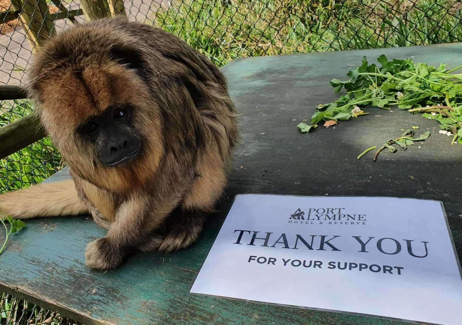 Animals 'thank' the public for generously donating. Picture: The Aspinall Foundation
