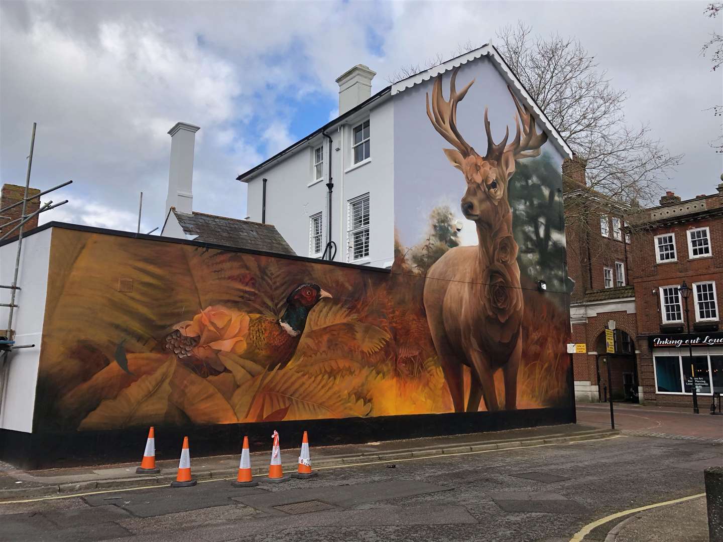 A huge painting showing a deer covered in roses appeared on the side of Bucksford Law, in Bank Street