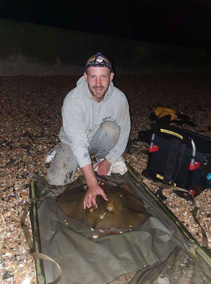 A stingray caught off the Kent coast in the last few days (35278937)