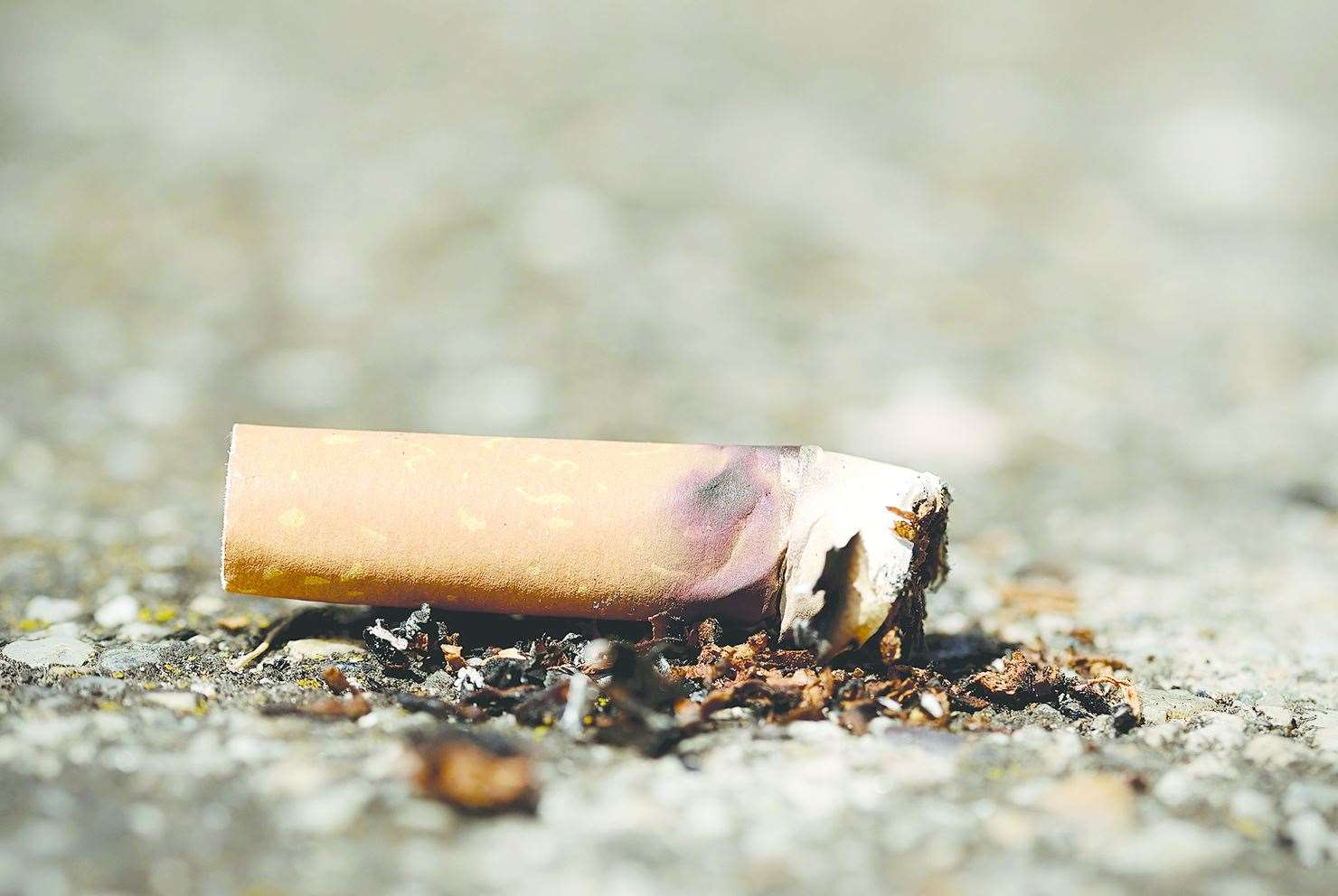 Gravesham council has prosecuted a man after he was spotted throwing a cigarette butt on the floor