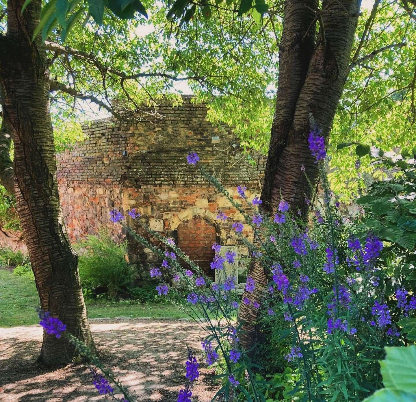 The historic and picturesque Franciscan Gardens in Canterbury remain closed on safety grounds