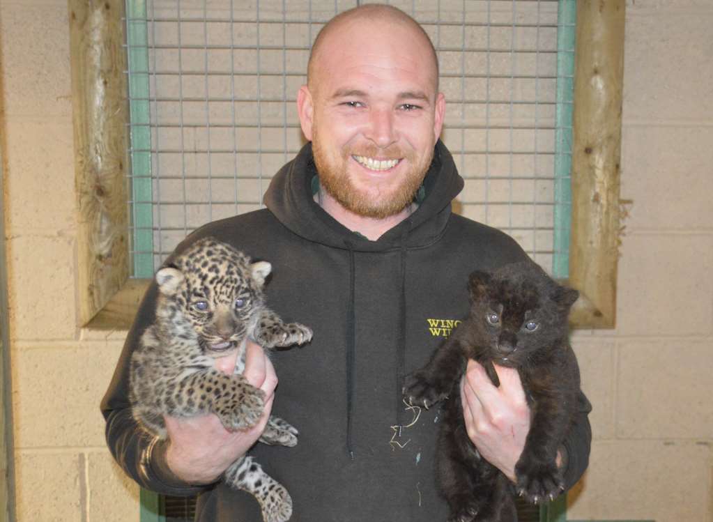 Luke Binskin with the cubs