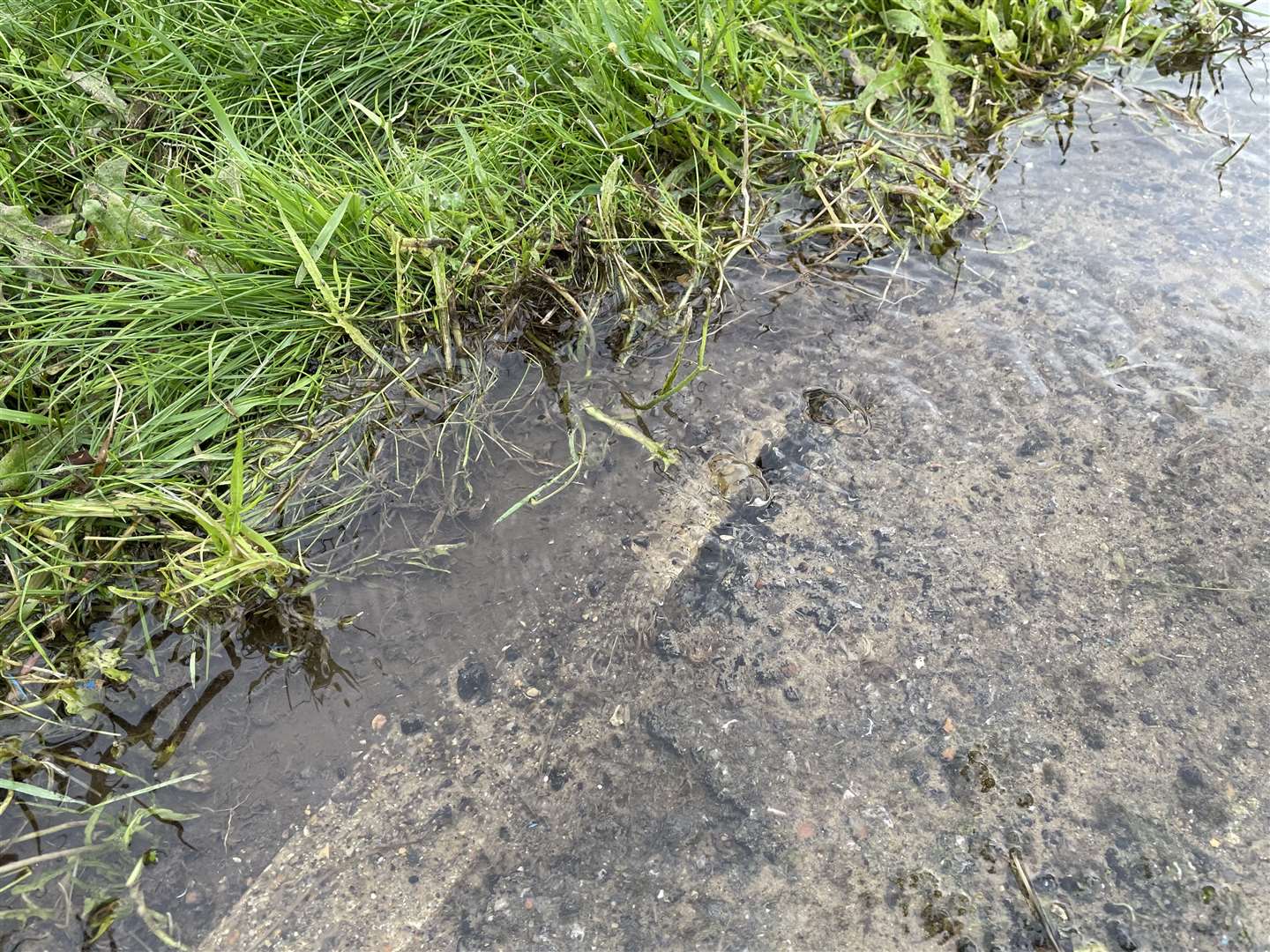 Water can be seen flowing from two places on the pavement