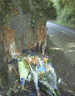 Floral tributes at the spot where the accident happened. Picture: TERRY SCOTT