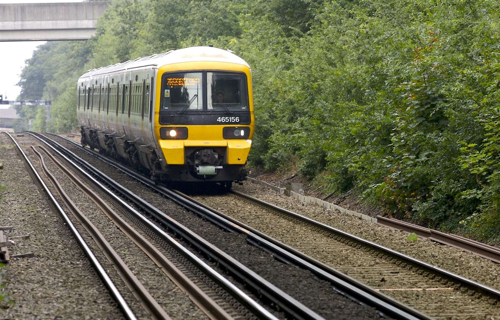 Trains were delayed after horses were spotted on the line near Kemsing
