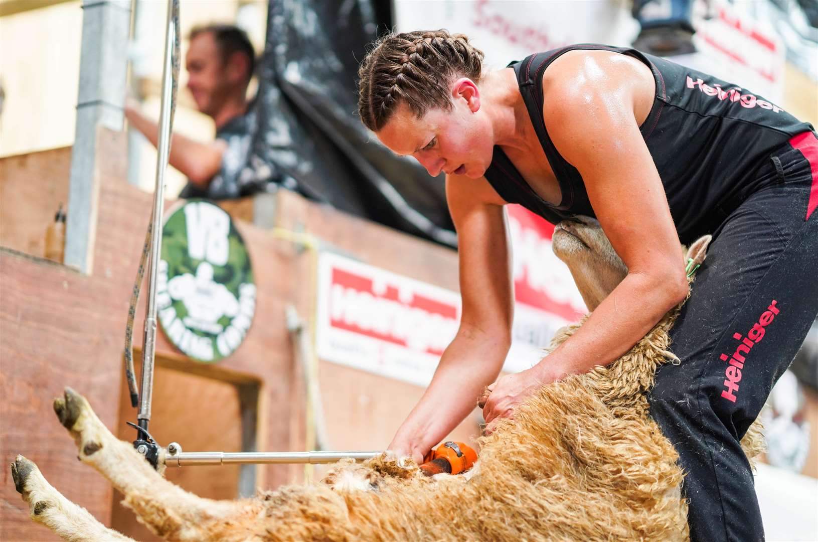 Marie Prebble has set a world record for the number of sheep sheared by a woman in eight hours. Pictures: Emily Fleur Photography