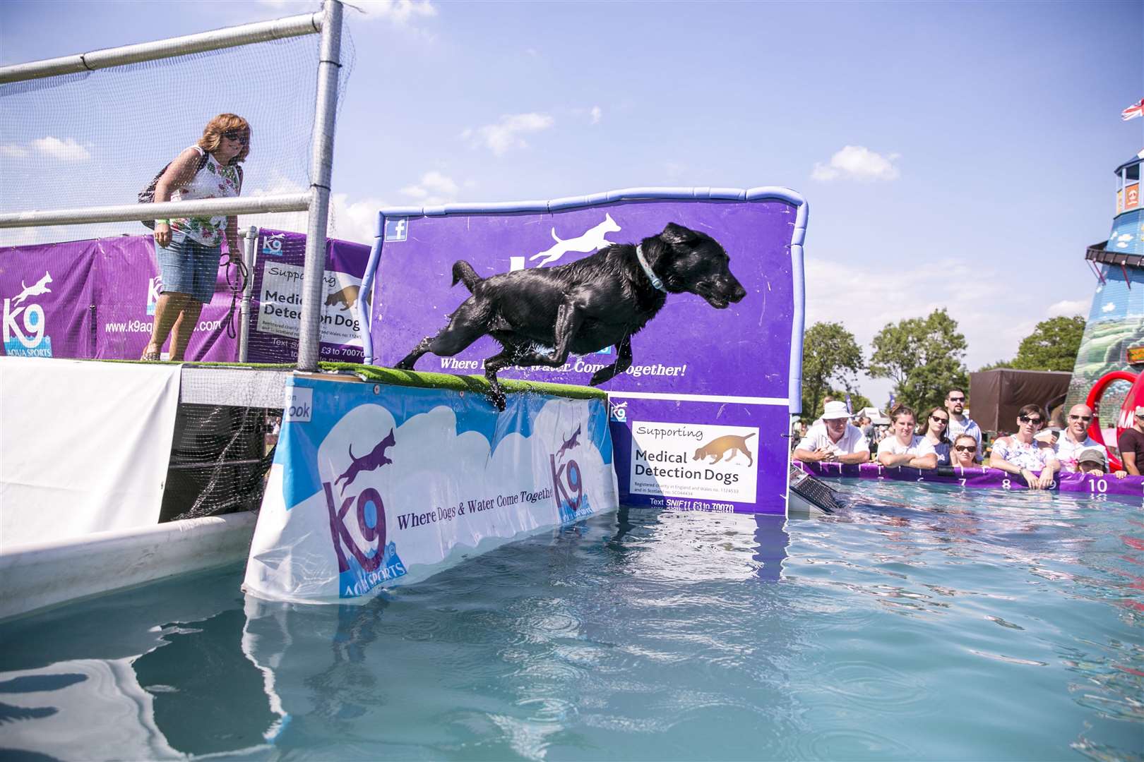 Take your dog for a splash at the show Picture: Thomas Alexander