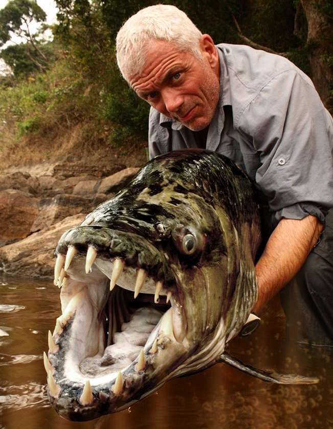 Jeremy Wade with a deadly-looking Congo tigerfish