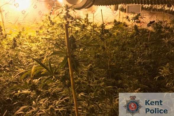 Police have uncovered a cannabis factory in Folkestone. Picture: Kent Police