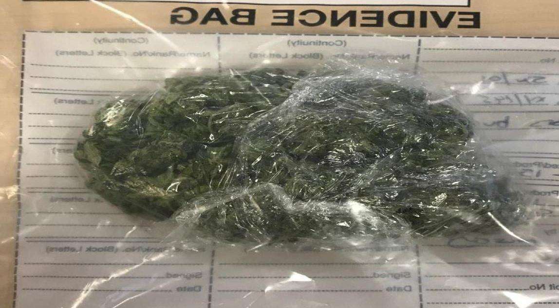 Romeo was found with cannabis on him, picture Kent Police