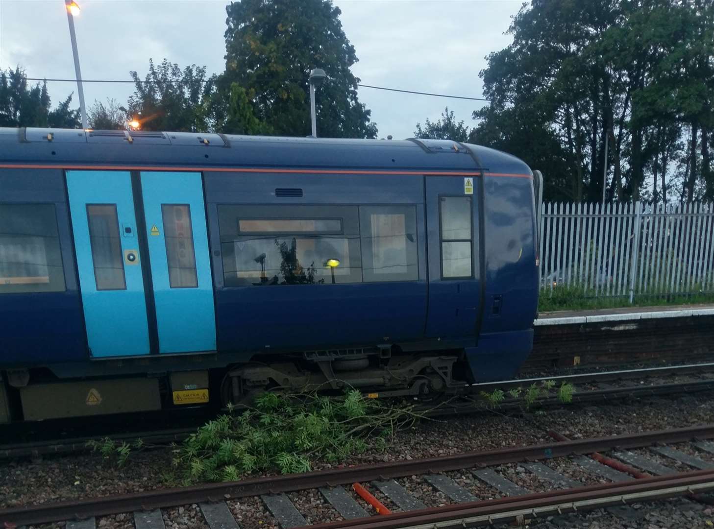 Lisa Kilby saw a tree stuck under a train at Maidstone East Station this morning (4325291)