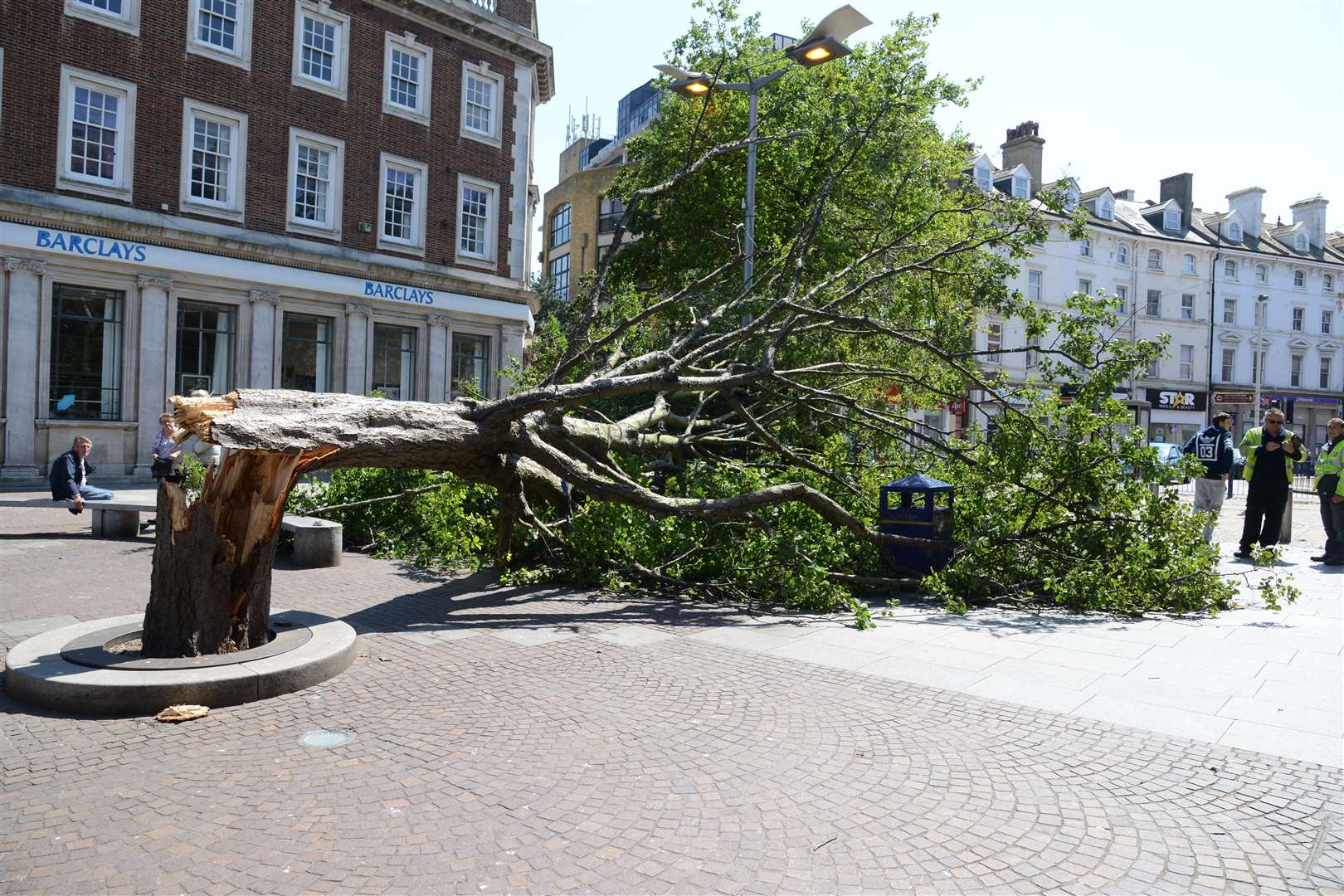 Passers by reported hearing the trunk crack as the tree fell. Picture: Gary Browne
