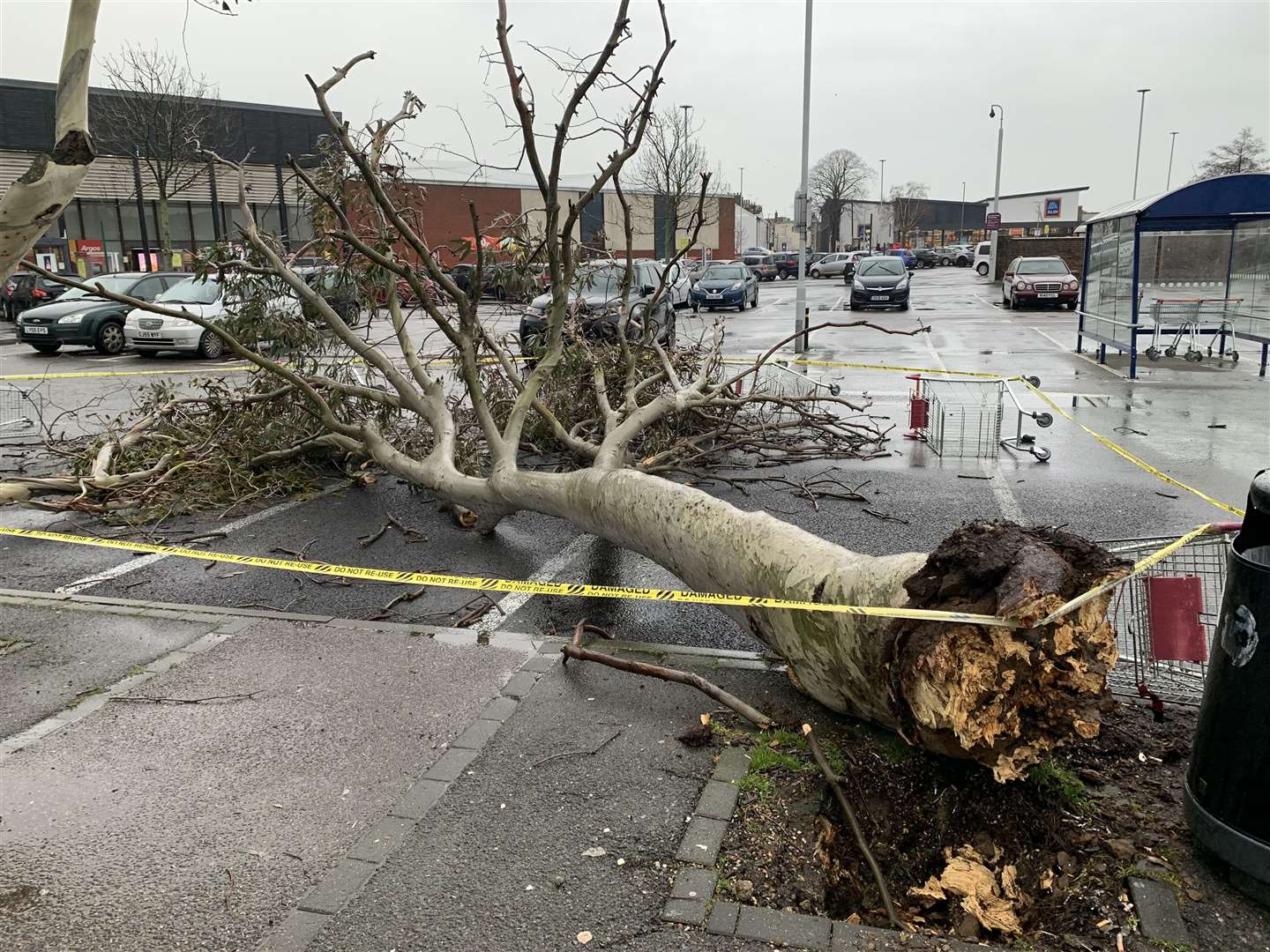 A tree was ripped from the ground in Sainsbury's car park in Deal