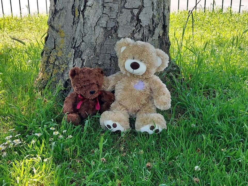 Istead Park Project is holding a Teddy Bears' Picnic