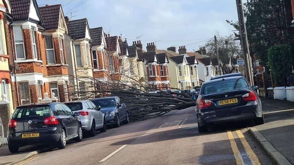 A tree blocking the road in Stuart Road, Gillingham. Picture: Ben Willer
