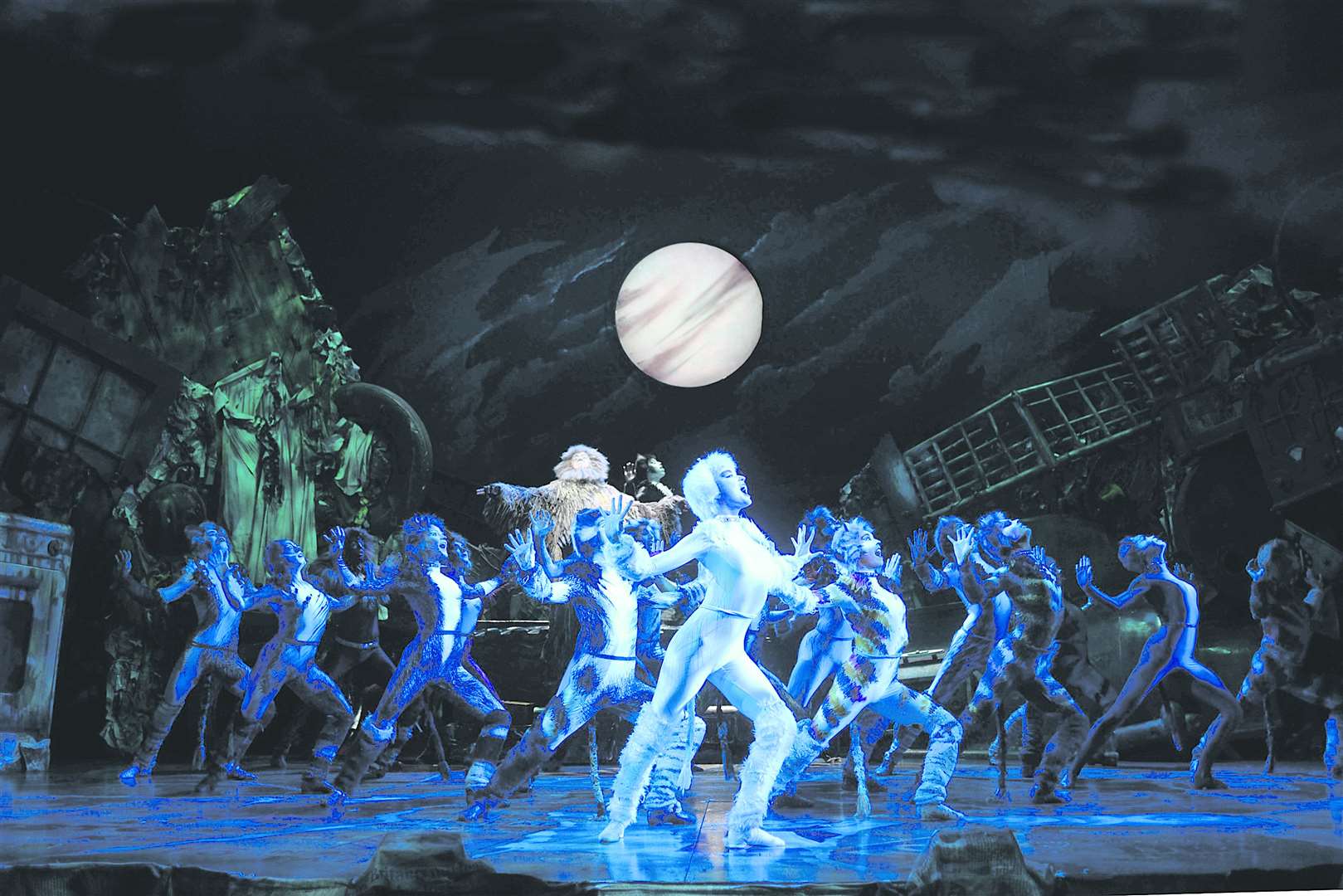 Cats has proved a huge hit on the stage - both in the West End and subsequent touring productions