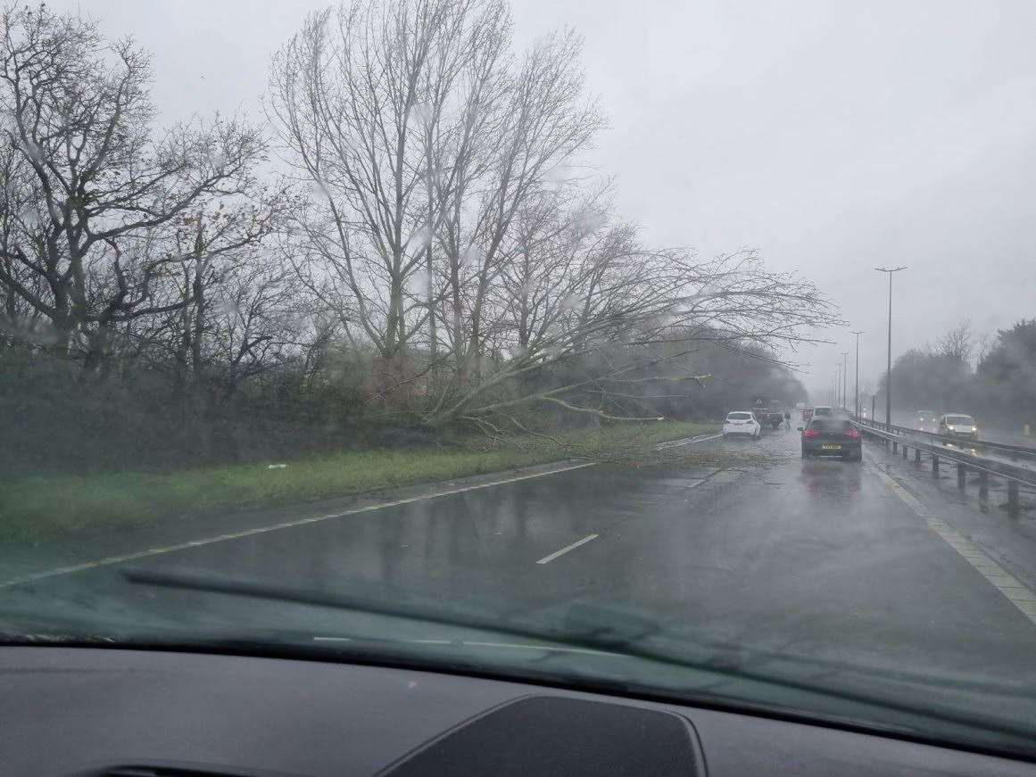 A fallen tree is also causing tailbacks on the A2