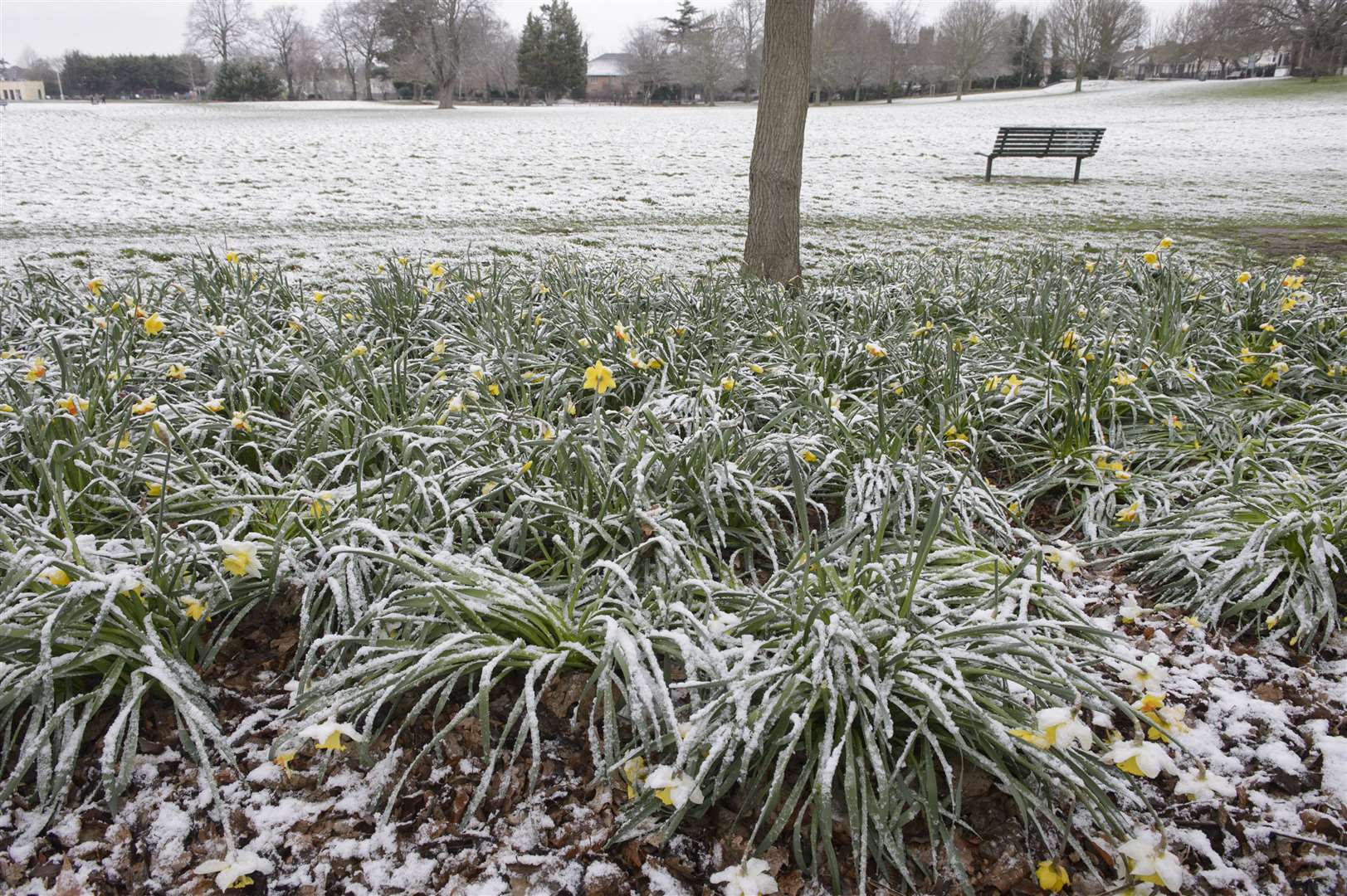 Experts say there will probably be a light dusting of snow over the next few days
