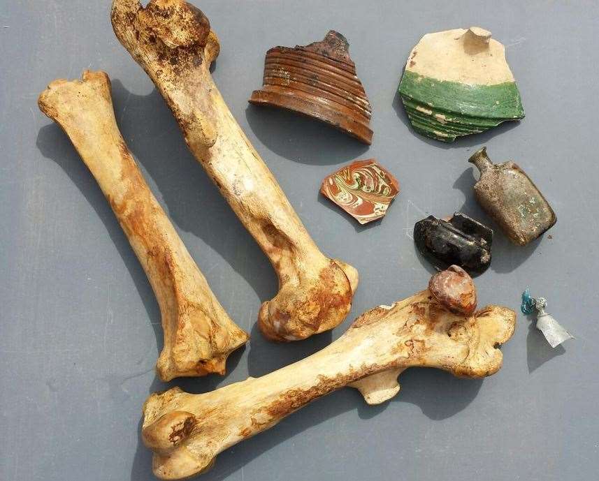 Bones and pots found in the Woolcomber Street dig