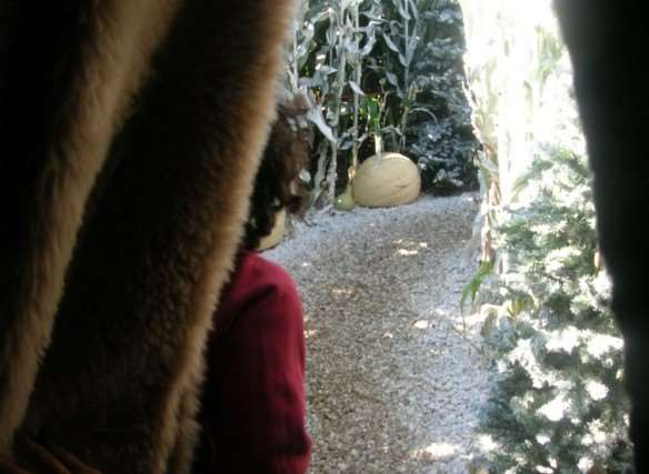 Children will be able to step through the coats and into the world of Narnia at Penshurst Place