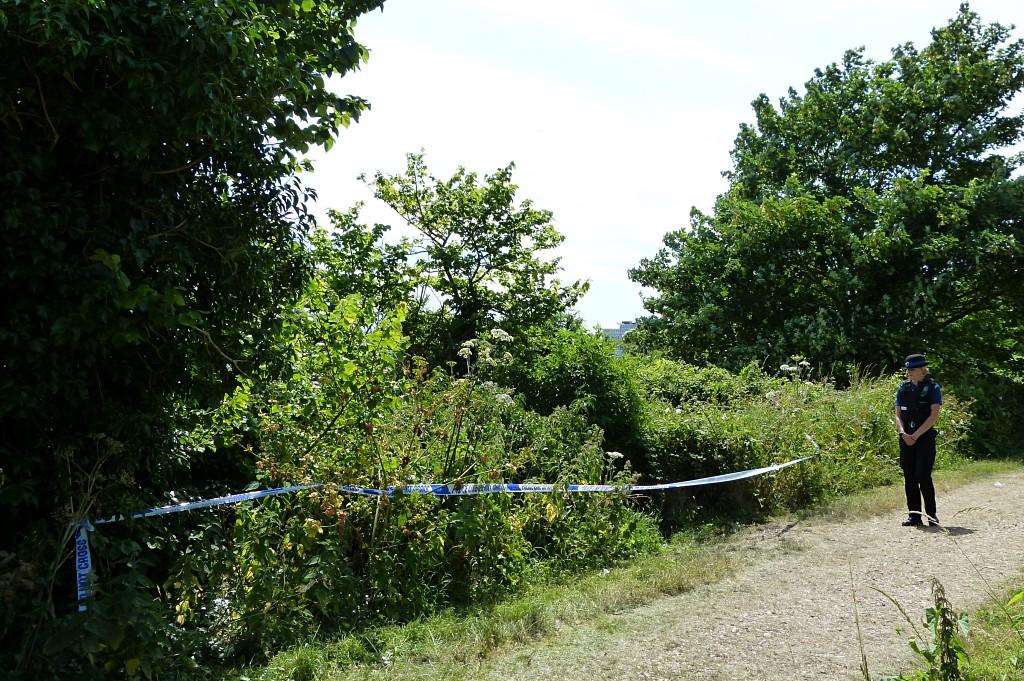 A woman in her 20s was allegedly sexually assaulted along the Royal Military Canal footpath in Hythe
