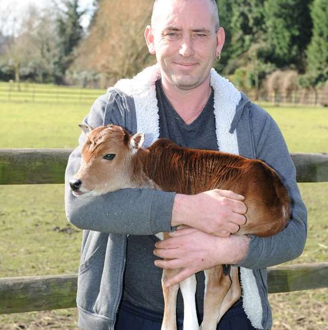 Wayne May, owner of the Artisan Rarebreeds Centre, and Dave the Asian miniature zebu cow