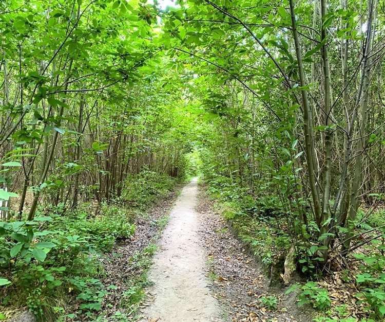 Leybourne Woods will be purchased by the parish council using a government grant. Picture: Rightmove