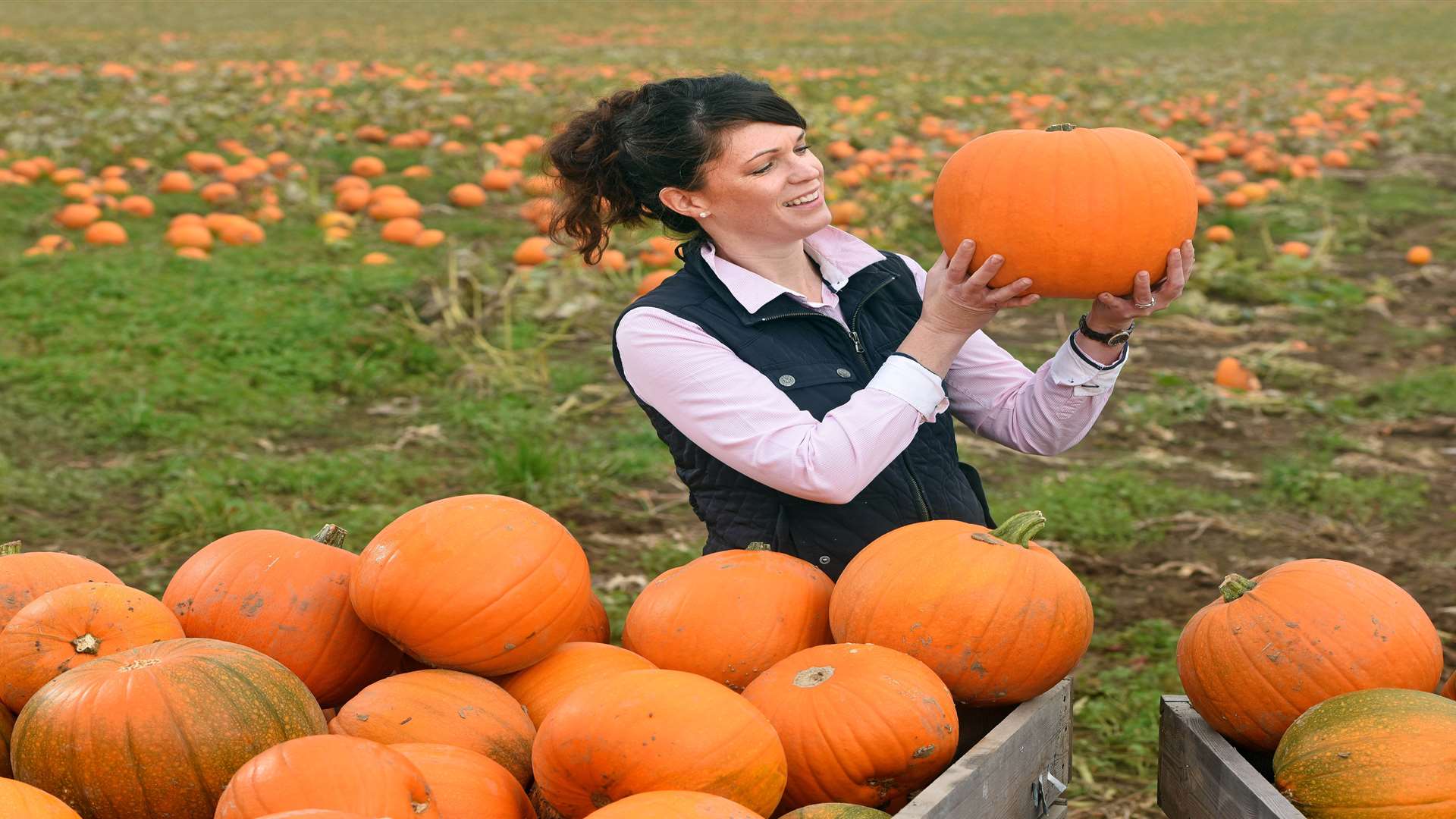 Why not go pumpkin picking?
