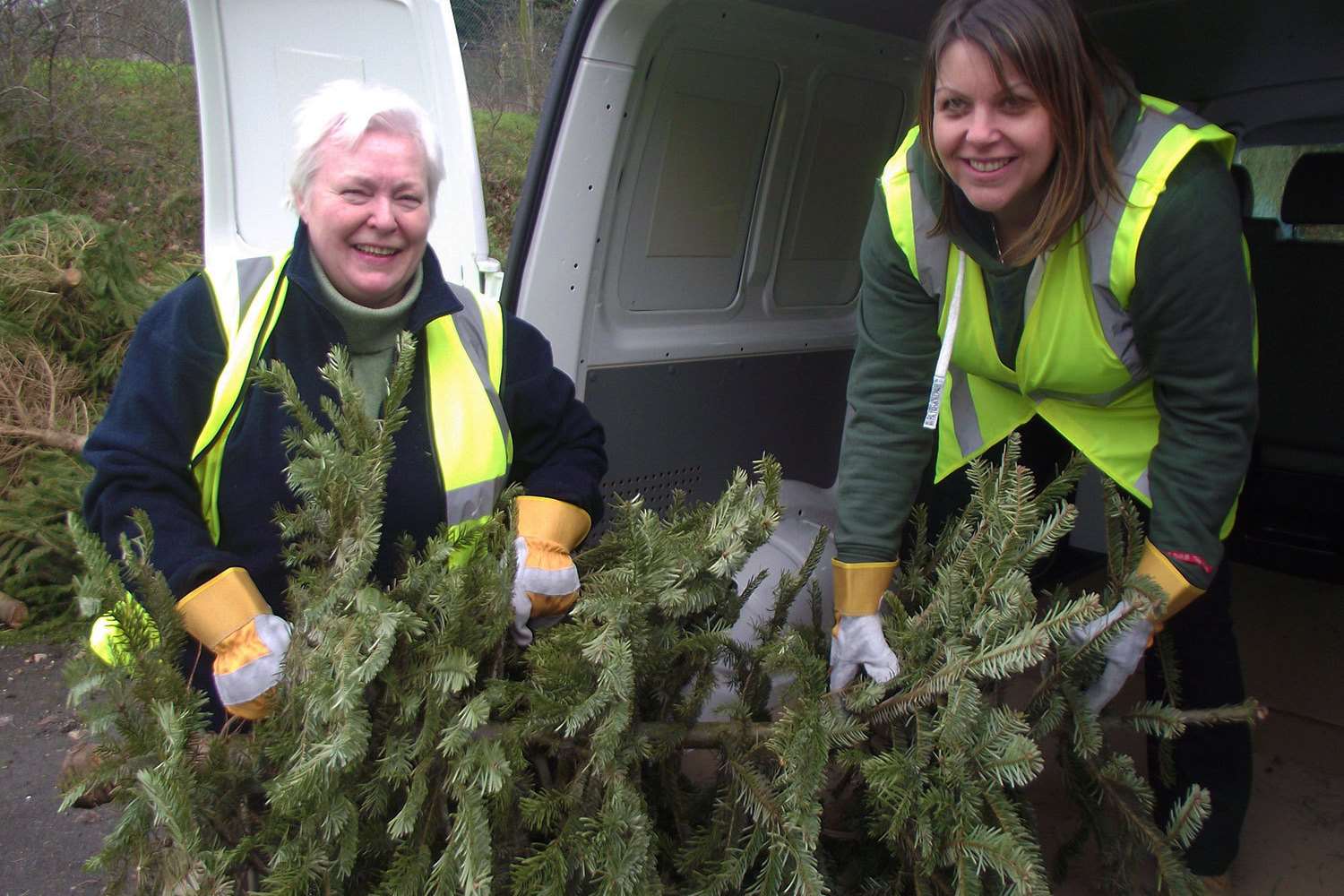 Pilgrims hospice volunteers help out with the treecycling campaign