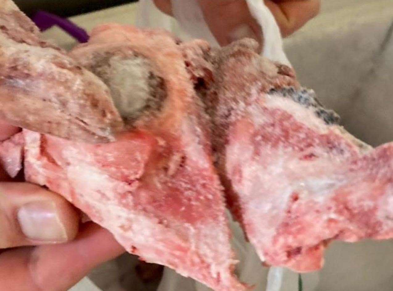 Staff were unable to identify some cuts of meat. Picture: Ashford Borough Council