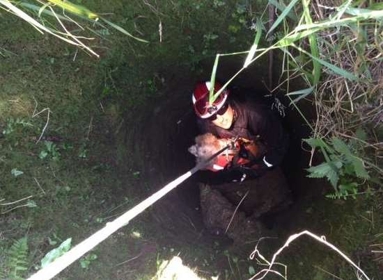 Firefighter Craig Sheridan rescuing four-year-old cocker spaniel Honey from a 15m well in Tilminstone