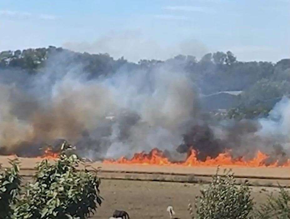 The blaze spread rapidly to cover about 14 acres of land. Picture: KFRS