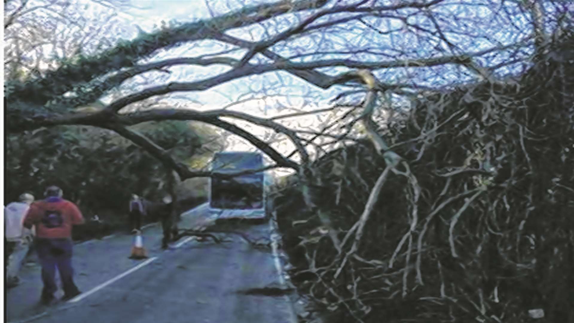 A "hero" bus driver slammed the brakes on just in time as a tree fell on Tudeley Road between Tonbridge and Paddock Wood