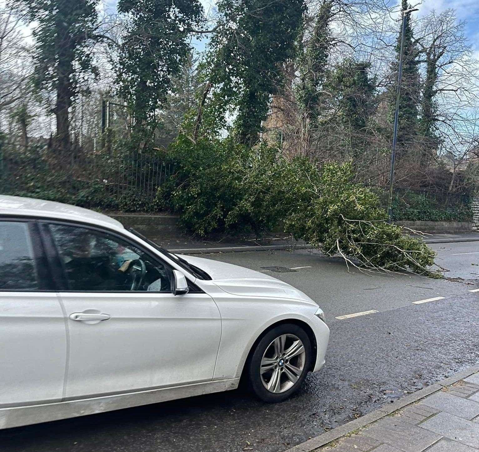 A tree came down in Milton Road, Gravesend. Picture: Jes Tuffield