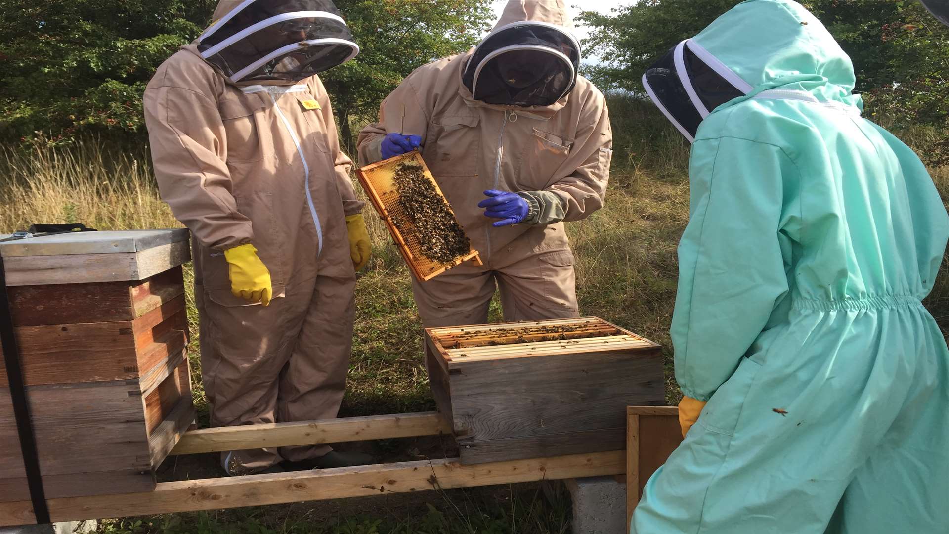 Members of the Honey Club tending to the hives along the HS1 track