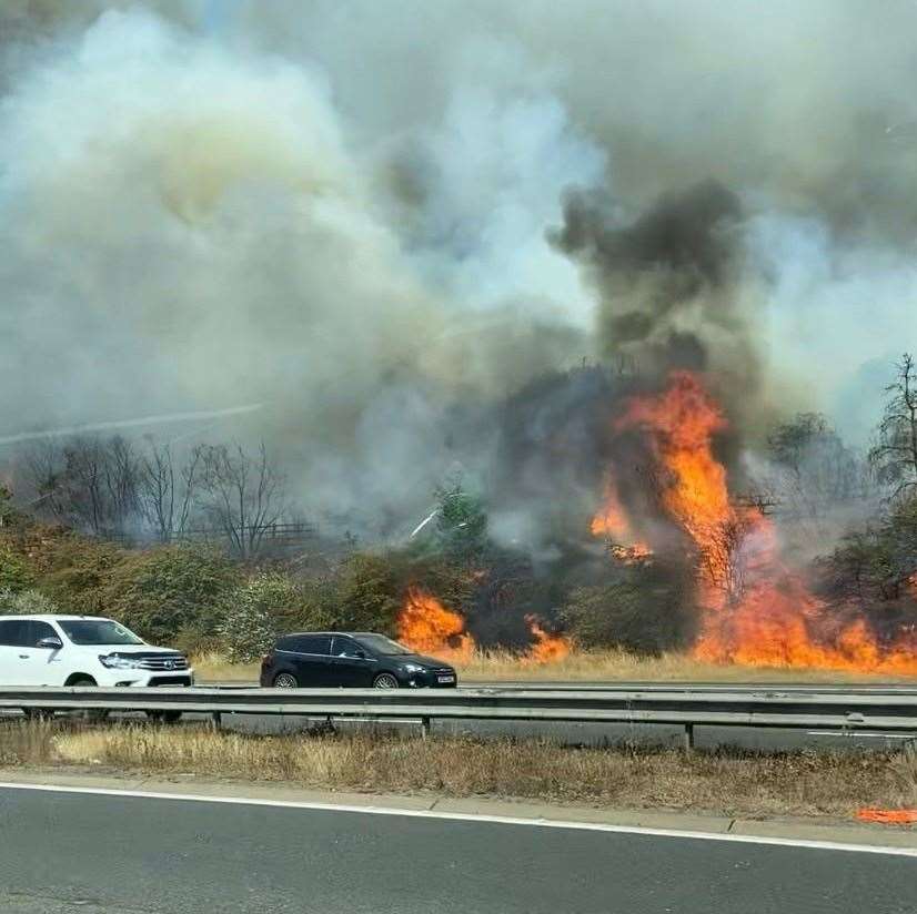 A blaze has broken out on Dartford Heath off the side of the A2. Photo: David Wilson