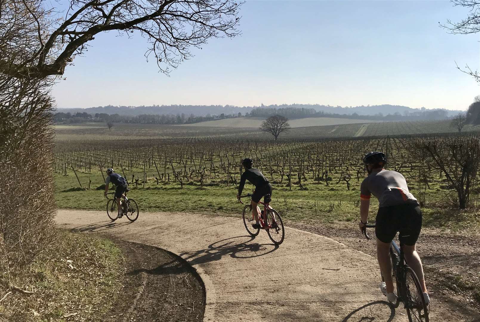 Cycle the Vineyards tours by Will Males