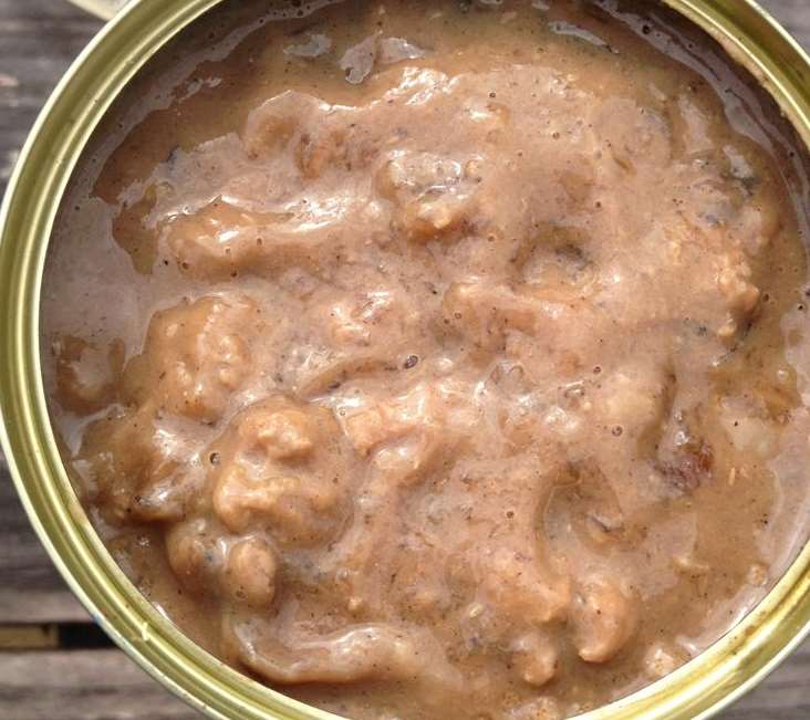 Maggots were found wriggling around in this cat food