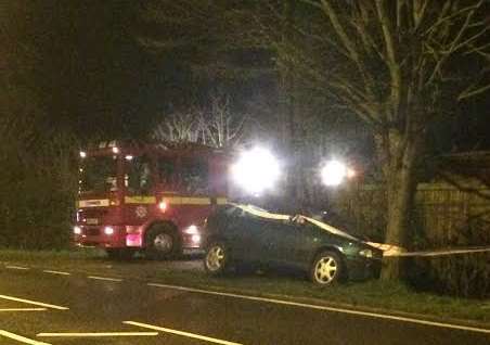 A woman was injured when the car smashed into the tree