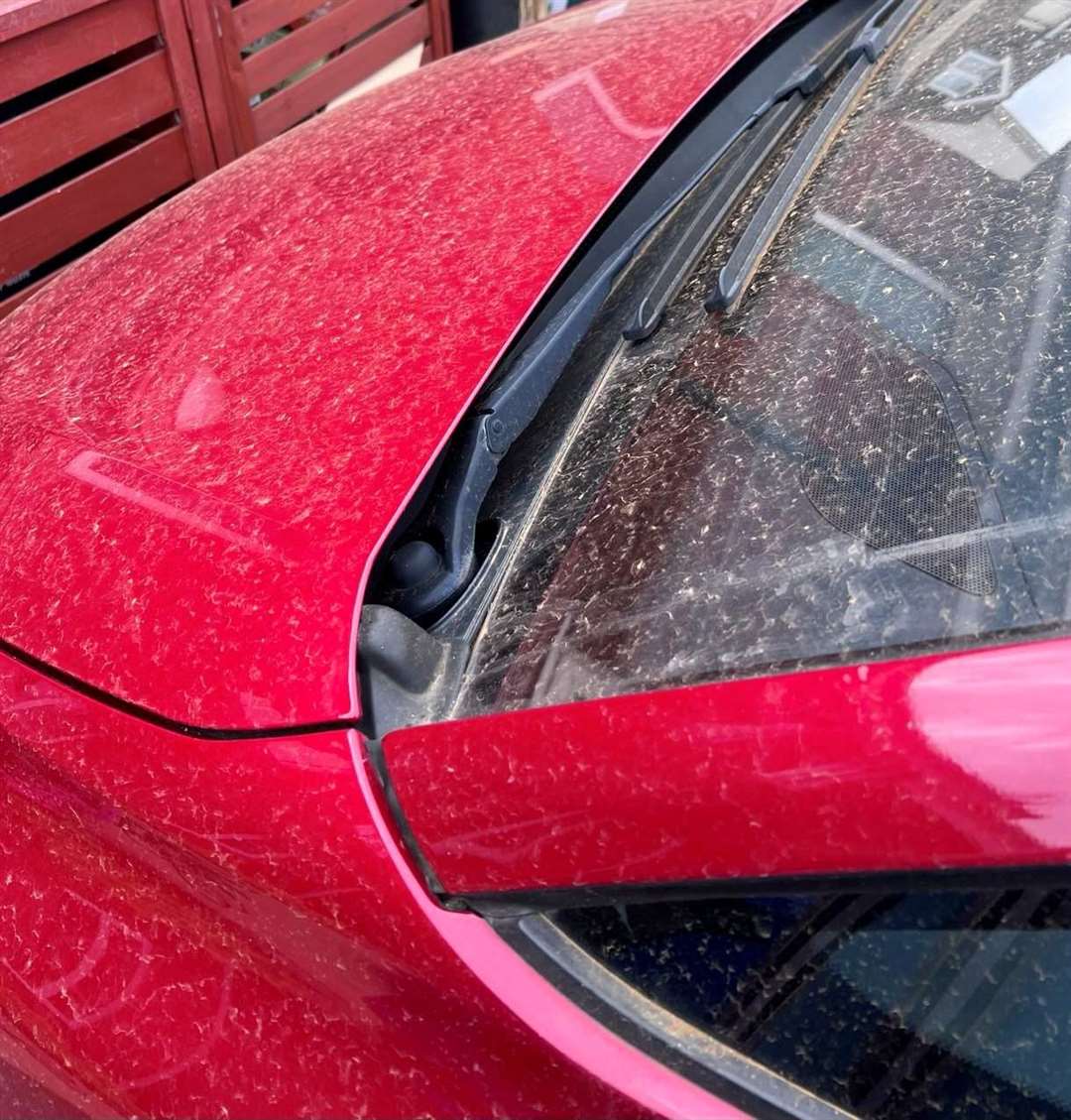 Caroline Shepherd says her car is often left with an “orangey yellow sheen” due to the dust from the construction site. Picture: Caroline Shepherd