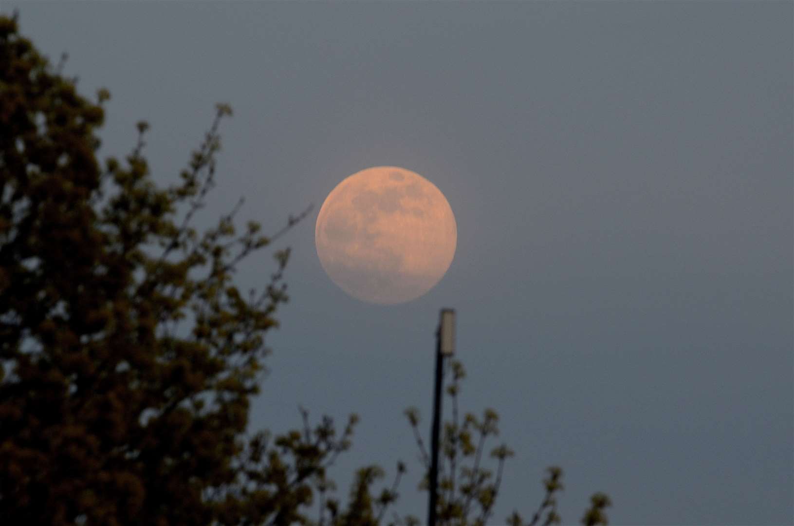 There have been three supermoons in three months. Picture: Jason Arthur
