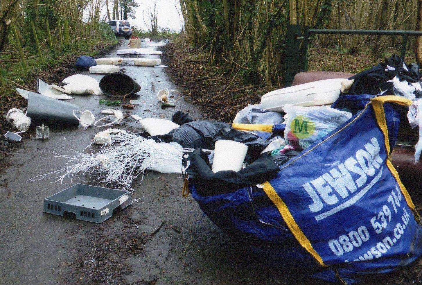 Fly-tipping in South Green Lane spotted by Pam Penfold who could not get by in her vehicle