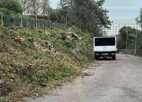 Workers came and started chopping down trees in Folkestone on February 7. Picture: Christina Ainsworth